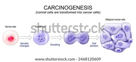 Cancer development. Normal cells are transformed into cancer. Carcinogenesis from Genetic mutations in healthy cell to Malignant cancer cells. Mutagenesis, Oncogenesis, tumorigenesis. Tumor formation