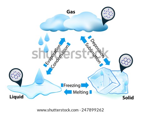 Phase Or State Of Matter. Phase Transition. This Diagram Shows The ...