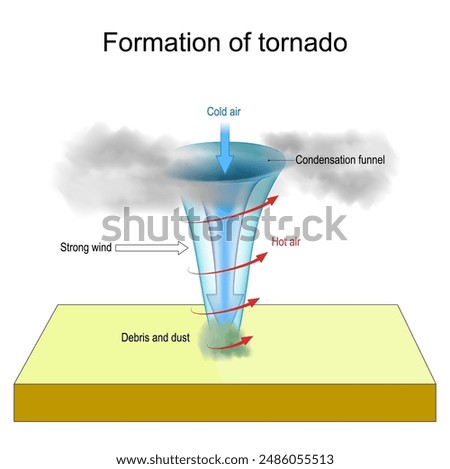 Tornado formation. Vortex Formation. Vector diagram