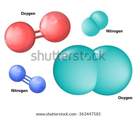 Nitrogen Molecule And Oxygen Molecule Stock Vector Illustration ...