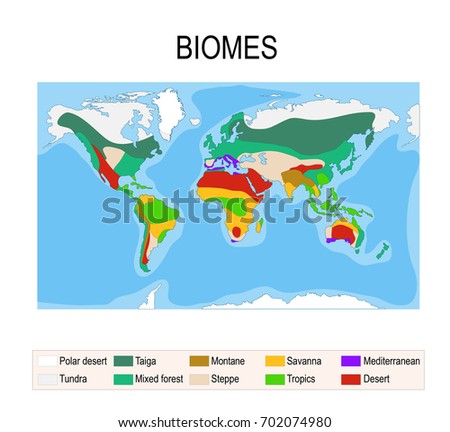 Biomes. Terrestrial ecosystem is a community of living organisms. Biotope: montane, desert, tropics, savanna, steppe, mediterranean, mixed forest, taiga, tundra and polar desert. Vector map