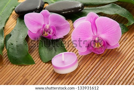Leaf of a monstera, orchid, candle and stones on a bamboo cloth