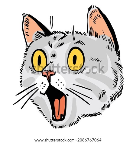 Cat portrait drawing. Face of surprised cat. Cartoon characters. Funny vector illustration. Isolated on white background. 