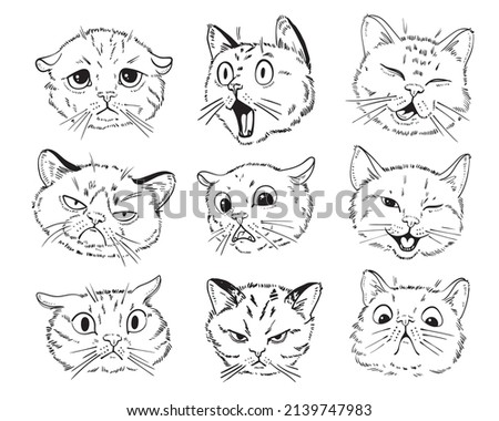 Cat portrait drawing. Black and white cartoon characters. Funny vector illustration. Isolated on white background. Set