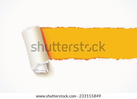 Curl of white paper. Torn paper. Infographics elements in the form of paper tape for various purposes. Vector illustration. Isolated on white background