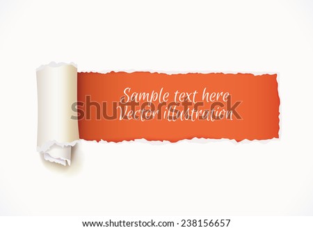 Torn Paper with space for text. Vector illustration. Isolated on white background