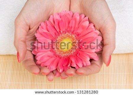 Manicure - Woman\'s hands holding flower. Studio shot.