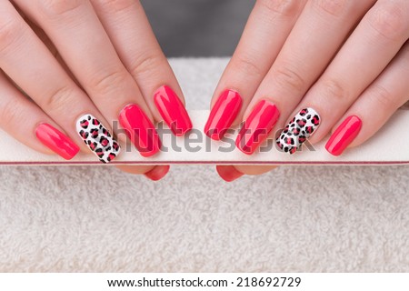 Manicure - Beauty treatment photo of nice manicured woman fingernails. Feminine nail art with interesting animal print nail art.