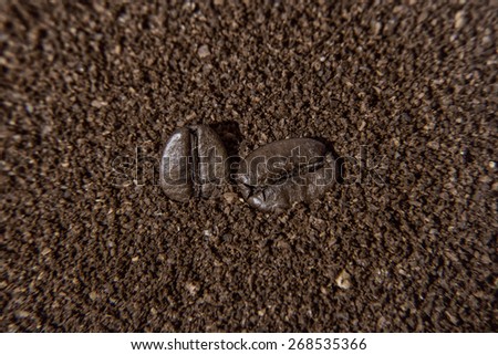 Macro of two grains coffee over ground coffee background