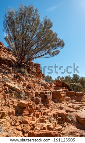 Kings Canyon rocks in outback Australia