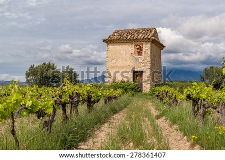 Stand alone house in the middle of vineyard, France