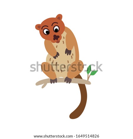 Cute animals - cuscus. Illustrations for children. Baby Shower card. Cartoon character possum isolated on white background. Oceania and Australia animals. New zealand wildlife