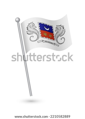 Mayotte flag on pole waving in the wind vector illustration