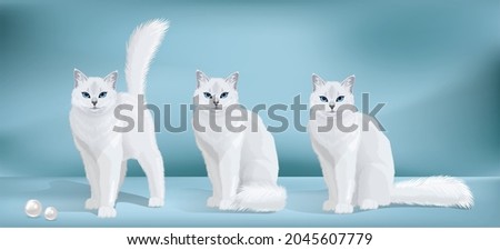 Vector collection white cat with blue eyes and fluffy tail. Cat standing and sitting and looking in camera. Front view illustration. 