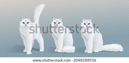 Vector white cat collection. Cat with blue eyes and fluffy tail standing, sitting and looking in camera. Front view illustration