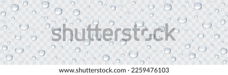 Vector rain drops or steam shower on window glass surface for your design. Realistic pure droplets and water bubbles condensed on the glass background. 