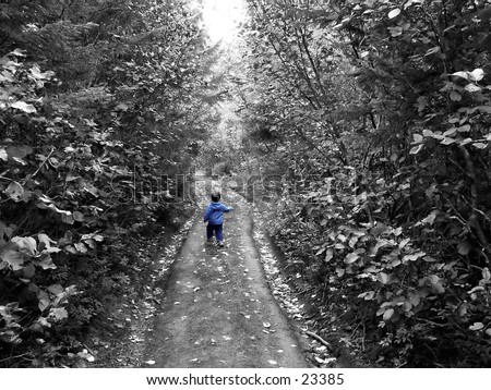 Little boy blue walking down a path in the woods, all color desaturated but blue