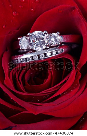 Set of Wedding Rings in Rose
