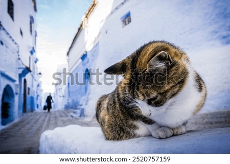 Similar – Image, Stock Photo Aspect (blue) Facade