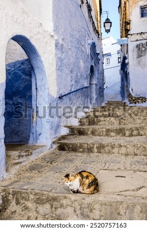 Similar – Image, Stock Photo Aspect (blue) Facade