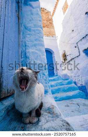 Similar – Image, Stock Photo Aspect (blue) Facade