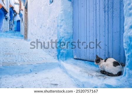 Similar – Image, Stock Photo Aspect (blue) Facade