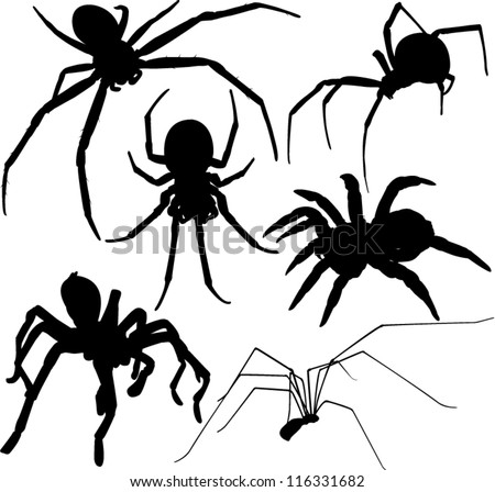 Spider vector silhouettes. Layered. Fully editable.