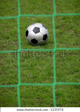Black and gray soccer ball on green grass viewed through a green square net
