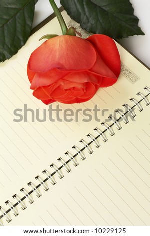 orange rose on vintage love diary; secret memories