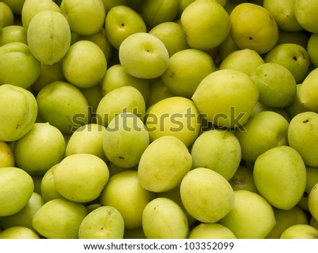 Heap group of many fresh green plum