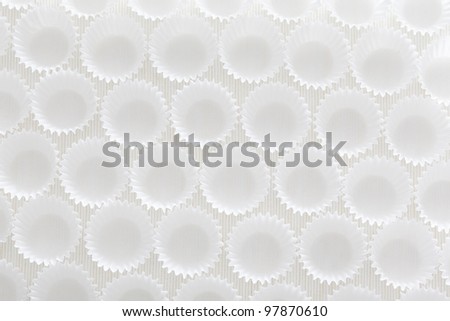 Group of a white and clean cupcake liners with natural light.