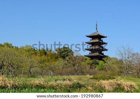 pagoda and flower field in Japan