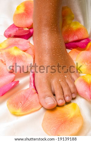 bronzed wet foot on the silk cloth with rose-petals
