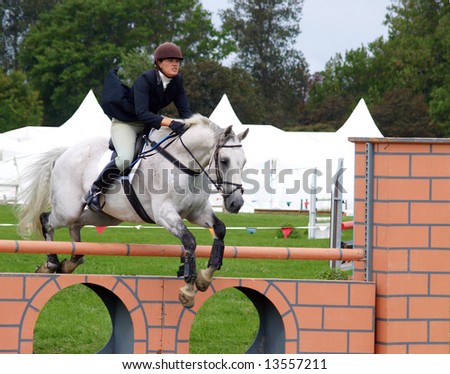 Show Jumper at the New Zealand Horse of the Year competitions 2008