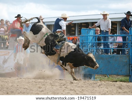 HASTINGS - October 24: Cowboy riding a bull at the Hawkes Bay rodeo. Hastings New Zealand October 24 2008