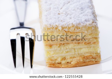 Close up delicious layered piece of cake and fork