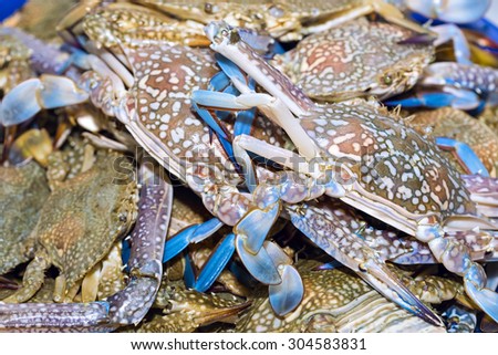 Fresh blue crabs on ice exposition at the seafood market In Thailand. Display of raw crab catch of the day