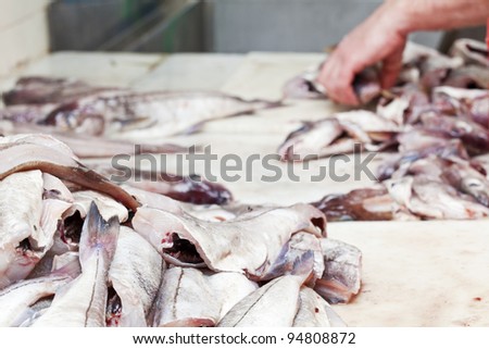 Preparation of raw fish at a fish shop for sale