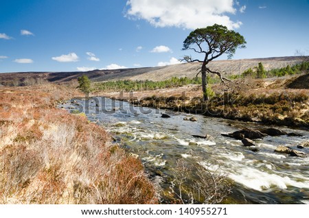 A Ghairbhe river flows towards KInlochewe / The River A Ghairbhe flows from Loch Clair to Loch Maree through Glen Torridon