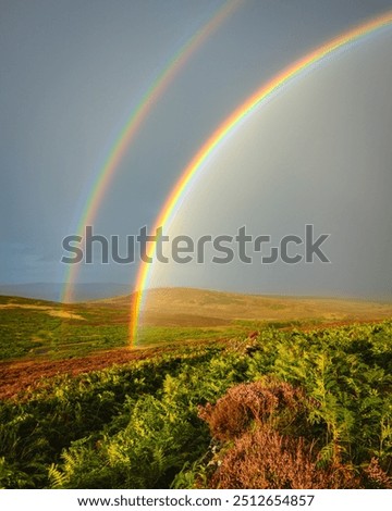 Similar – Foto Bild Streifzug Natur Himmel