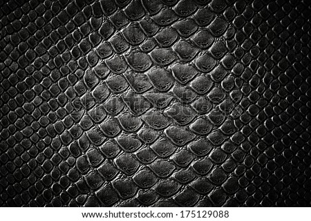 Crocodile black skin leather texture