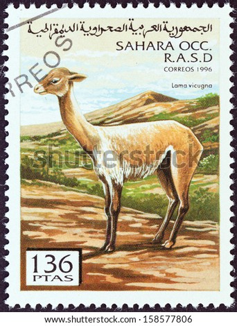 WESTERN SAHARA - CIRCA 1996: A stamp printed in Western Sahara shows Lama vicugna, circa 1996.