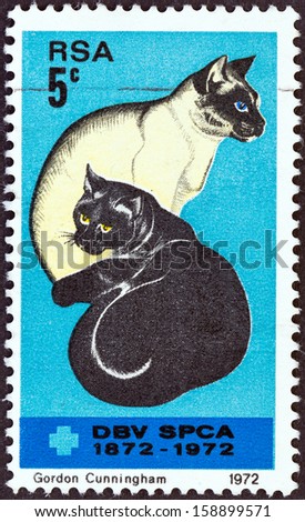 SOUTH AFRICA - CIRCA 1972: A stamp printed in South Africa issued for the Centenary of Societies for the Prevention of Cruelty to Animals shows Black and Siamese Cats, circa 1972.