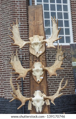 Antlers of reindeers on street market in UNESCO village Schokland (Street party - Scandinavian day), Holland.