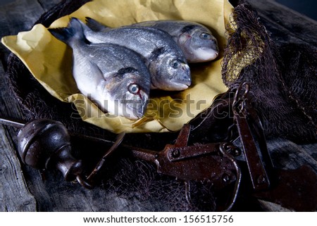 Weighing The Fish Of Sea Bream With Old Balance