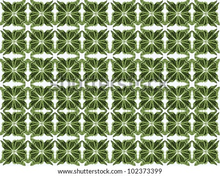 Butterfly pattern of four butterflies pasted at 45 degree angles, squared. Green hues, white background. / Butterfly Pattern #33 / Classic look, for your project.
