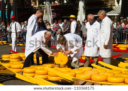 ALKMAAR, NETHERLANDS - AUGUST 10: Men check the cheese quality at the cheese market on August 10, 2012 in Alkmaar, Netherlands. Every friday morning there is a typical cheese market at Alkmaar.