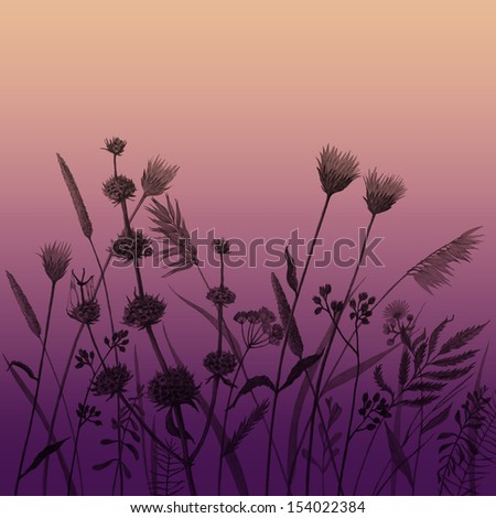 Pencil drawing wild flowers silhouette