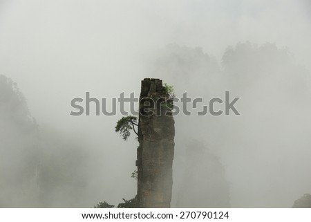 The misty and smoky mountain peak of Zhangjiajie, Hunan Province, China. The inspiration for Avatar\'s Pandora
