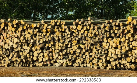 pile of logs at the port ready for loading to ships. Industry